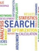 Search Engine Ranking