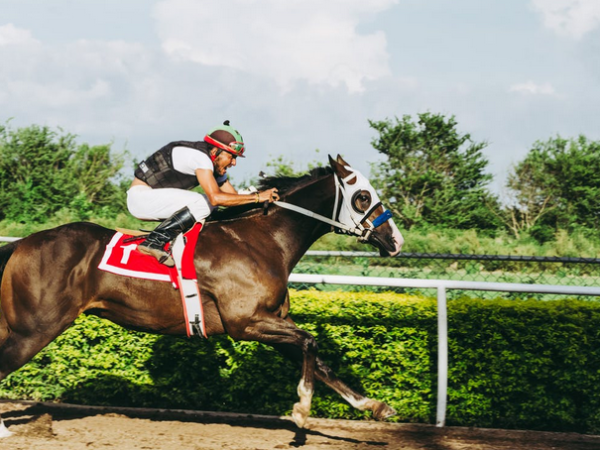 race betting